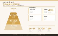 微信投票活动奖品策略与预算规划指南:金字塔