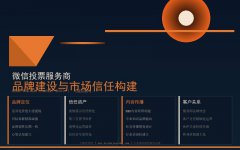 微信投票服务商品牌建设与市场信任构建